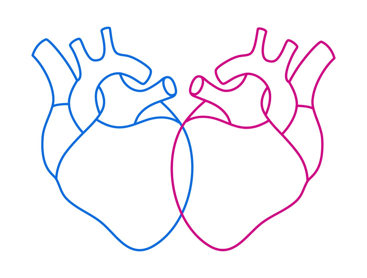 Kardiologie Begrüßung