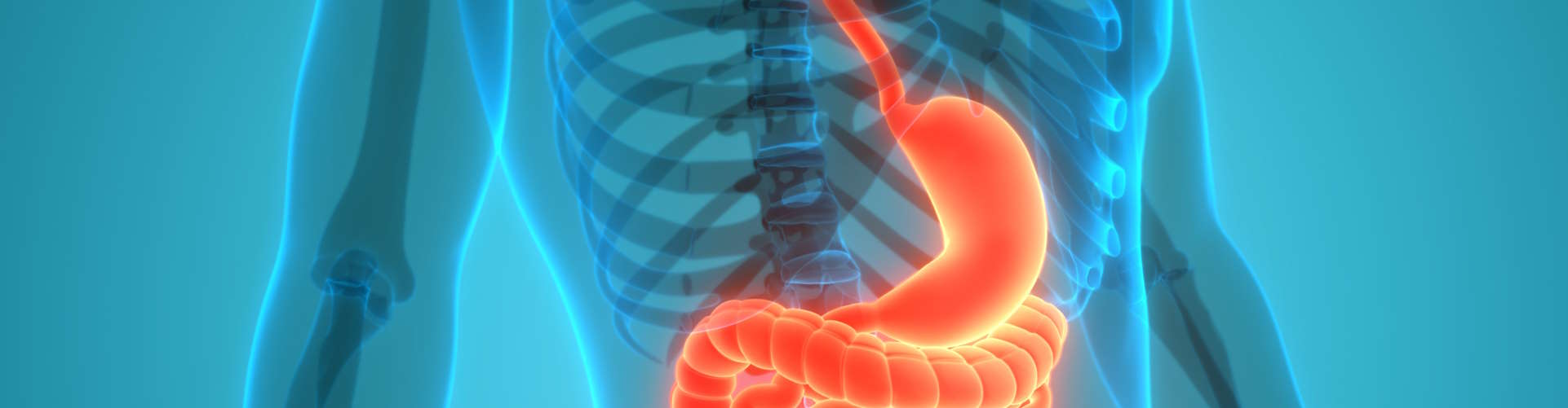 Sektion Viszeralchirurgie